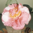 Ernestine Bowman